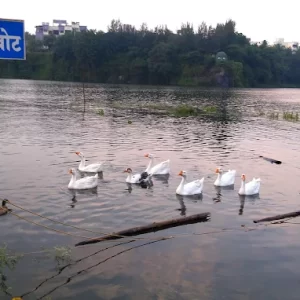 unnamed - 2025-06-17T193432.163