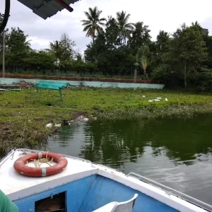 unnamed - 2025-06-17T193442.138