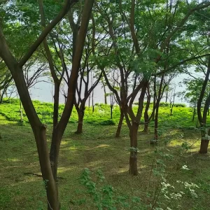 unnamed - 2025-06-17T193448.237