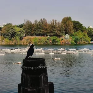 unnamed - 2025-06-17T193456.514