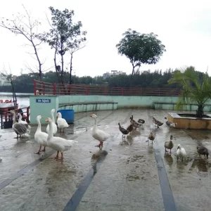 unnamed - 2025-06-17T193513.263