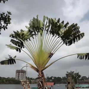 unnamed - 2025-06-17T193525.211