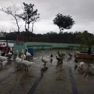 unnamed - 2025-06-17T193547.433