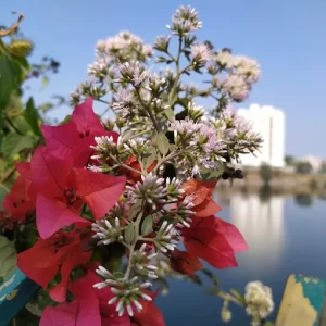 unnamed - 2025-06-17T193552.149