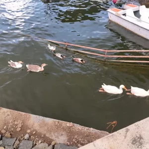 unnamed - 2025-06-17T193604.914