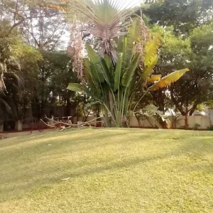 unnamed - 2025-06-17T193613.790