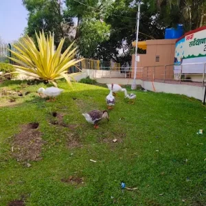 unnamed - 2025-06-17T193617.819