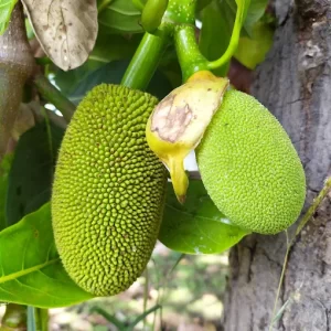 unnamed - 2025-06-17T193625.017