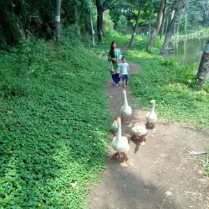 unnamed - 2025-06-17T193637.882