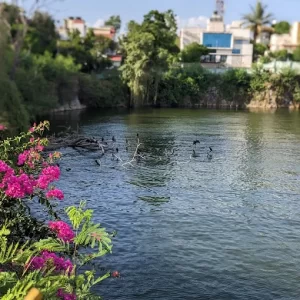 unnamed - 2025-06-17T193707.234